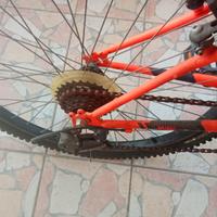 bicicletta da gross n24