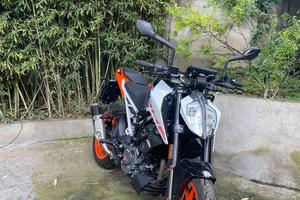 KTM 125 Duke - 2024