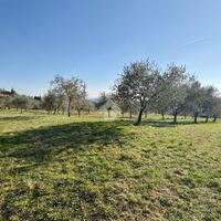 TER. AGRICOLO A PONTASSIEVE