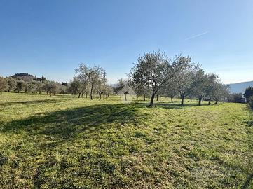 TER. AGRICOLO A PONTASSIEVE