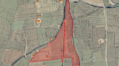 Casa con terreno agricolo e uliveto