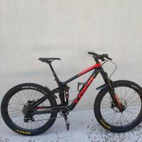 Trek Remedy 