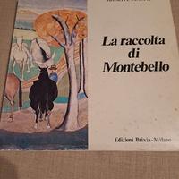 La raccolta di Montebello