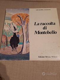 La raccolta di Montebello