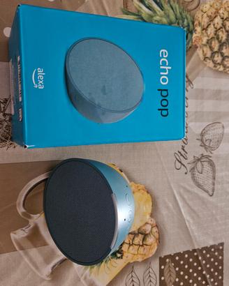 echo pop alexa