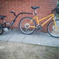 bicicletta e camellino