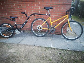 bicicletta e camellino