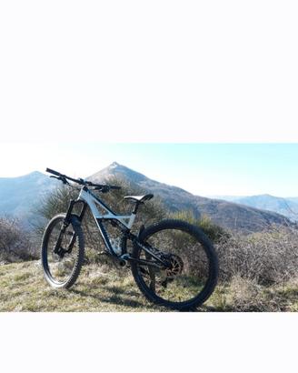 MTB SPECIALIZED ENDURO EXPERT CARBON 