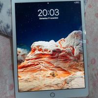 iPad 7th generazione 