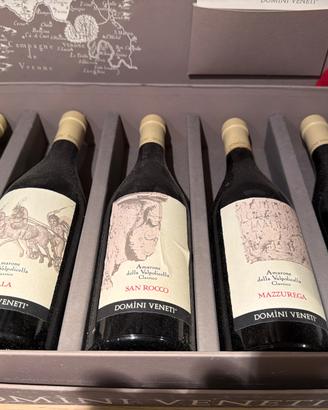 Vino espressioni di amarone domini veneti
