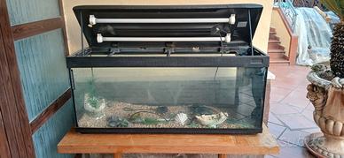 acquario 
