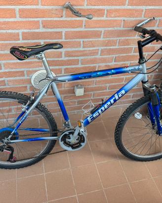 Bici MTB