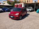 fiat-panda-1-2-69cv-5-porte-easy