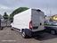 Immagine 7