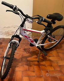 Mountain bike 24