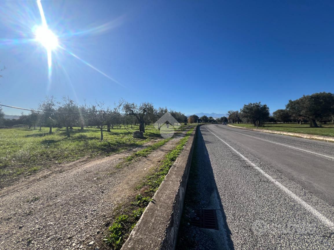 TER. AGRICOLO A MOSCIANO SANT'ANGELO - Altro