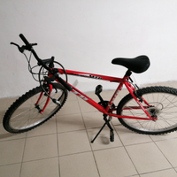 Mountain bike