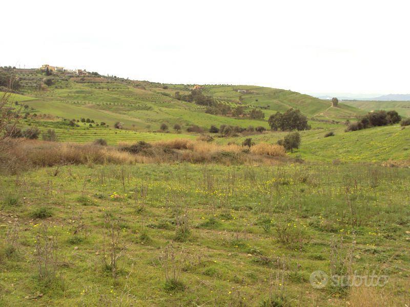 terreno agricolo - Vista 2