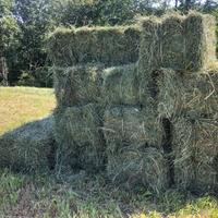 Fieno di montagna in ballette a 2 l'una