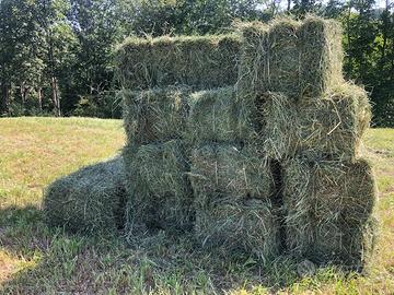 Fieno di montagna in ballette a 2 l'una