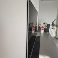 TV OLED evo Serie G3 65