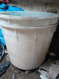 2 contenitori per l'uva 