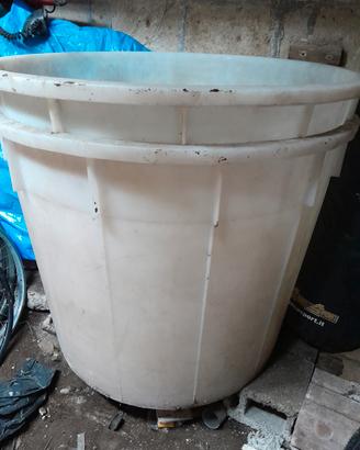 2 contenitori per l'uva 