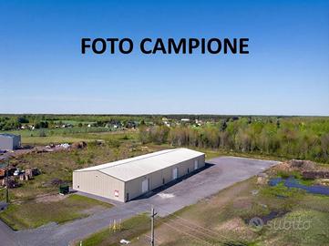Immobile di 500 m² a Lonigo