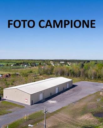 Immobile di 500 m² a Lonigo