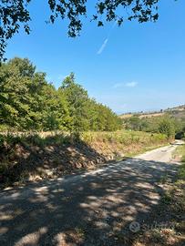 Terreno Agricolo seminativo e boschivo