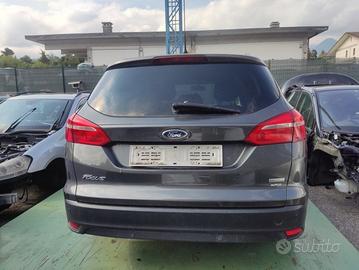 Portellone nudo FORD FOCUS del 2015