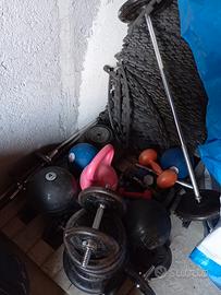 vari dischi e manubri 