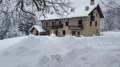 Affitassi appartamento San Giacomo di Roburent