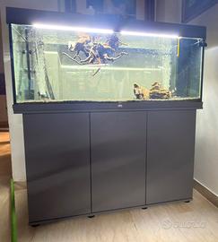 Acquario juwel rio 240 + filtro oase biomaster 600
