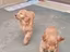 Immagine 3