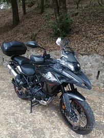 Benelli TRK 502 - 2024