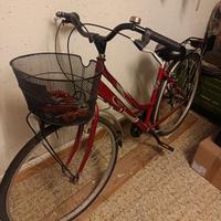 bicicletta  trekking 