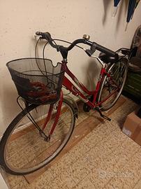 bicicletta  trekking 