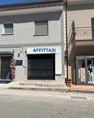 Locale commerciale in zona centrale