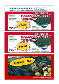 Reti per raccolta olive