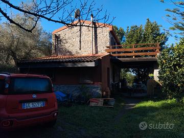Casa nel bosco con terreno
