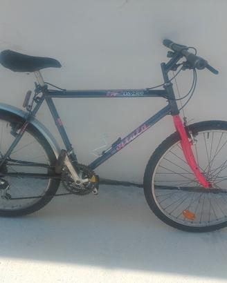 montambaik ruote da 26 €35
