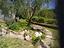 Immagine 21