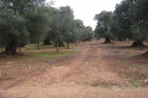 Terreno agricolo di mq 6800