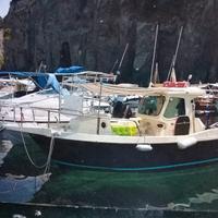 barca 7,5 metri cabinata motore entrobordo