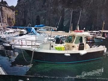 barca 7,5 metri cabinata motore entrobordo