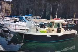 barca 7,5 metri cabinata motore entrobordo