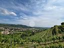 ter-agricolo-a-cellatica