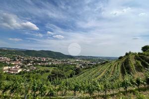 TER. AGRICOLO A CELLATICA