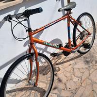 bici atala